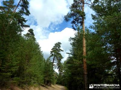 Garganta del Arroyo de Minguete - Puerto de Fuenfría;excursiones fin de semana desde madrid activid